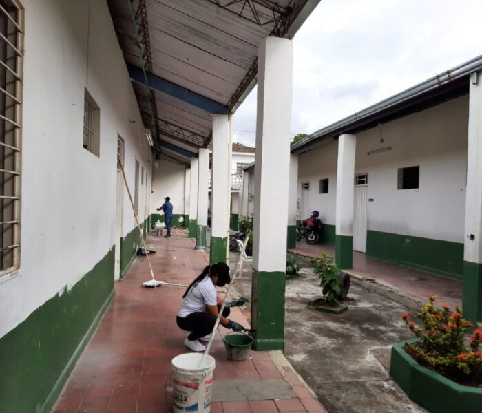 5. Pola